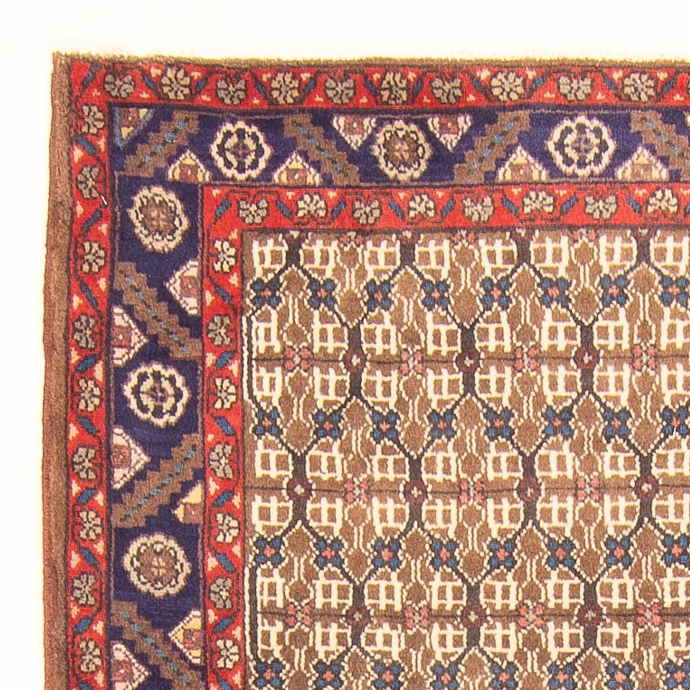Kolyai Tapis 220x112cm - Tapis persan