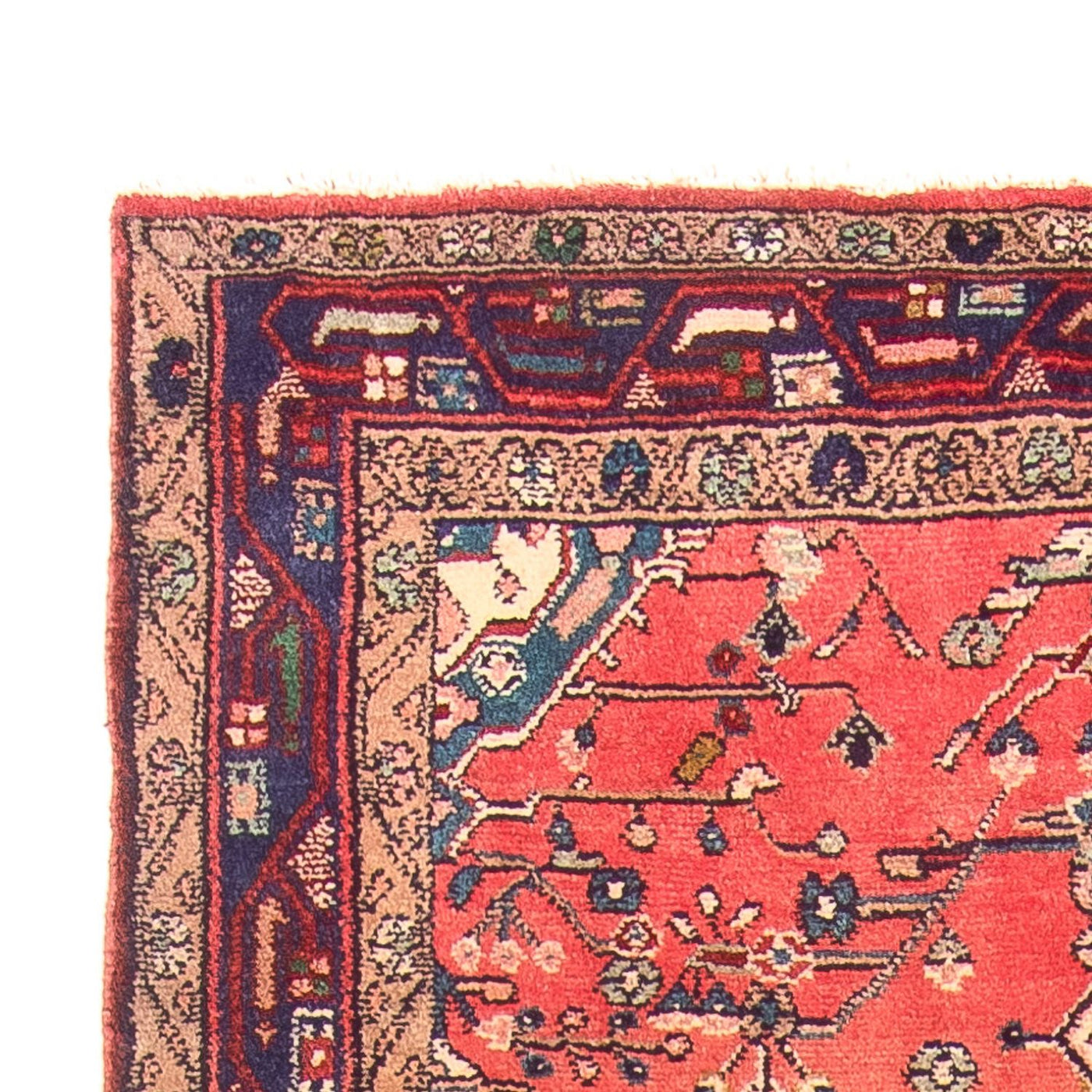 Kolyai Tapis 311x126cm - Tapis persan