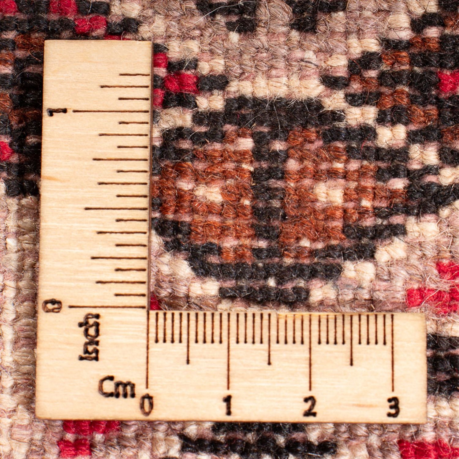Tapis de couloir Tapis Turkaman - 282 x 100 cm - crème