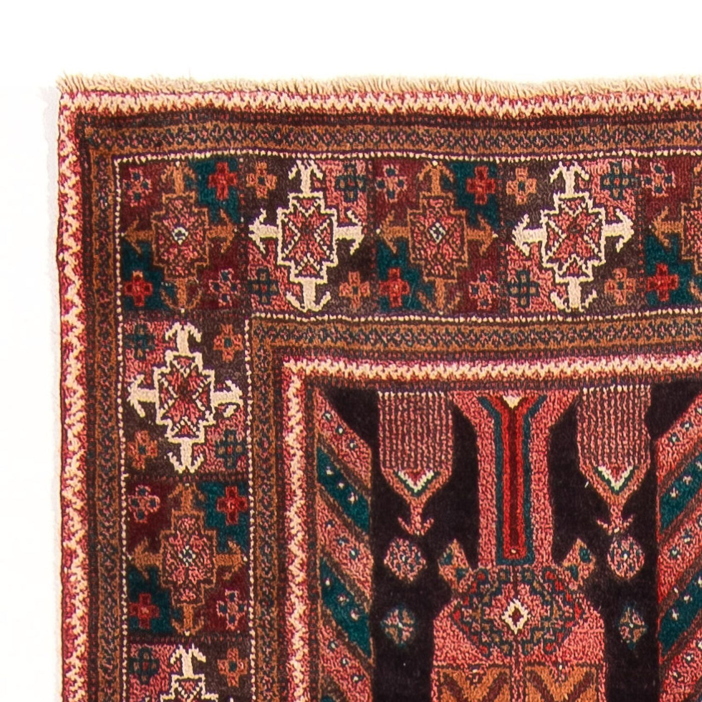 Tapis de Nahavand Tapis 270x116cm - Tapis persan