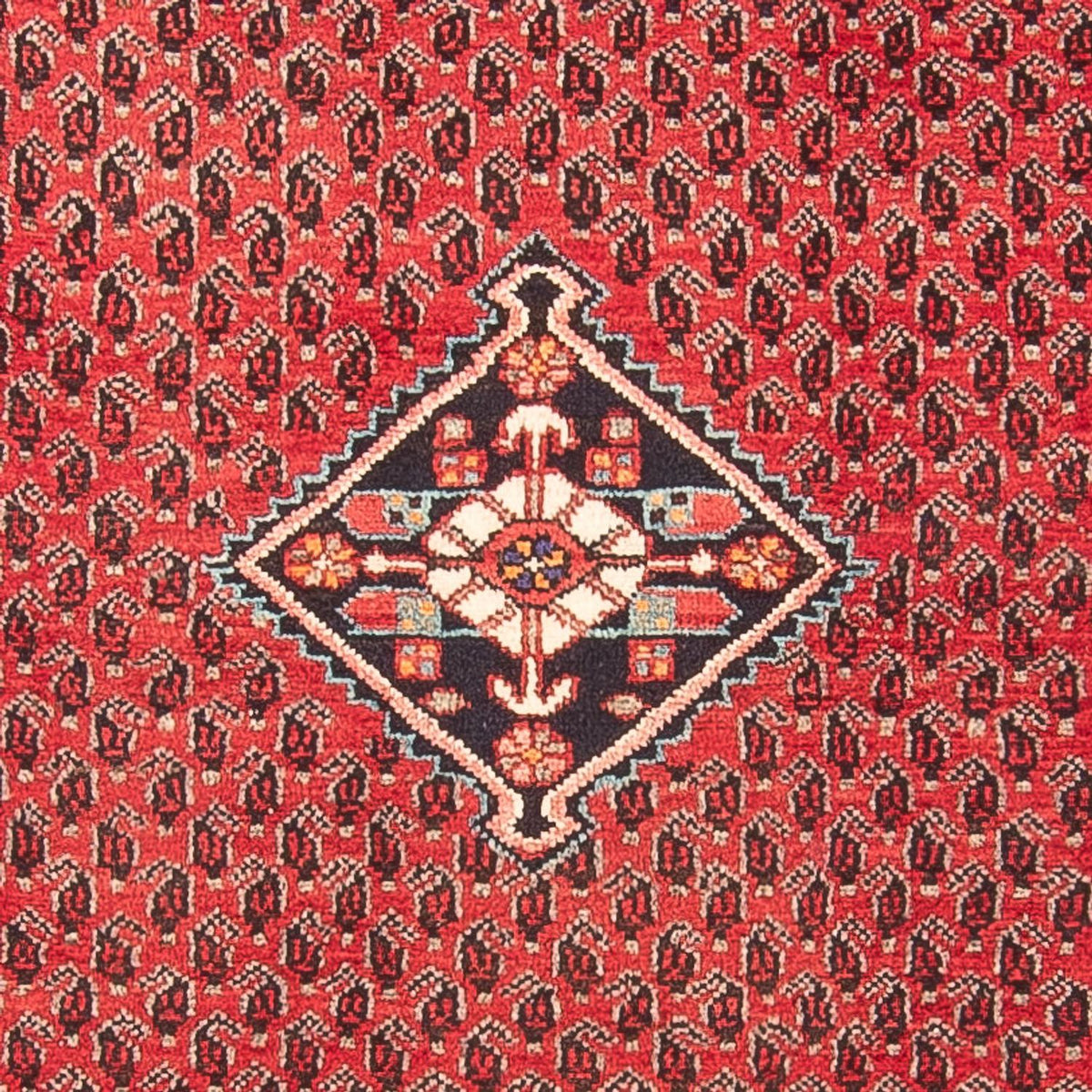 Tapis de couloir Tapis persan - Nomadic - 314 x 111 cm - rouge