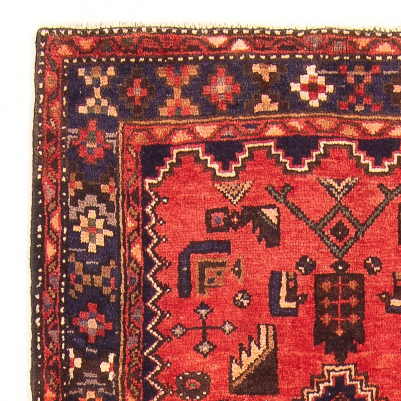 Bidjar - Zanjan Tapis 314x110cm - Tapis persan