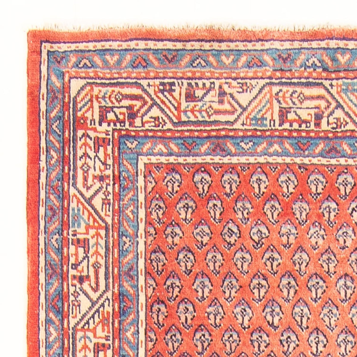 Tapis de Mir Tapis 107x316cm - Tapis persan