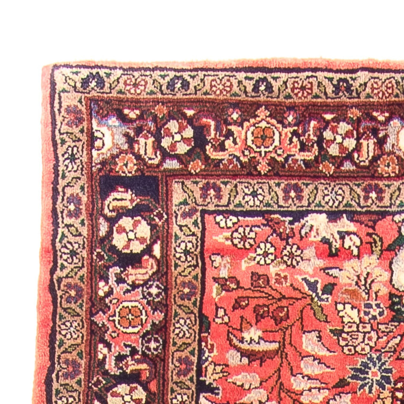 Tapis de Rudbar Tapis 314x110cm - Tapis persan