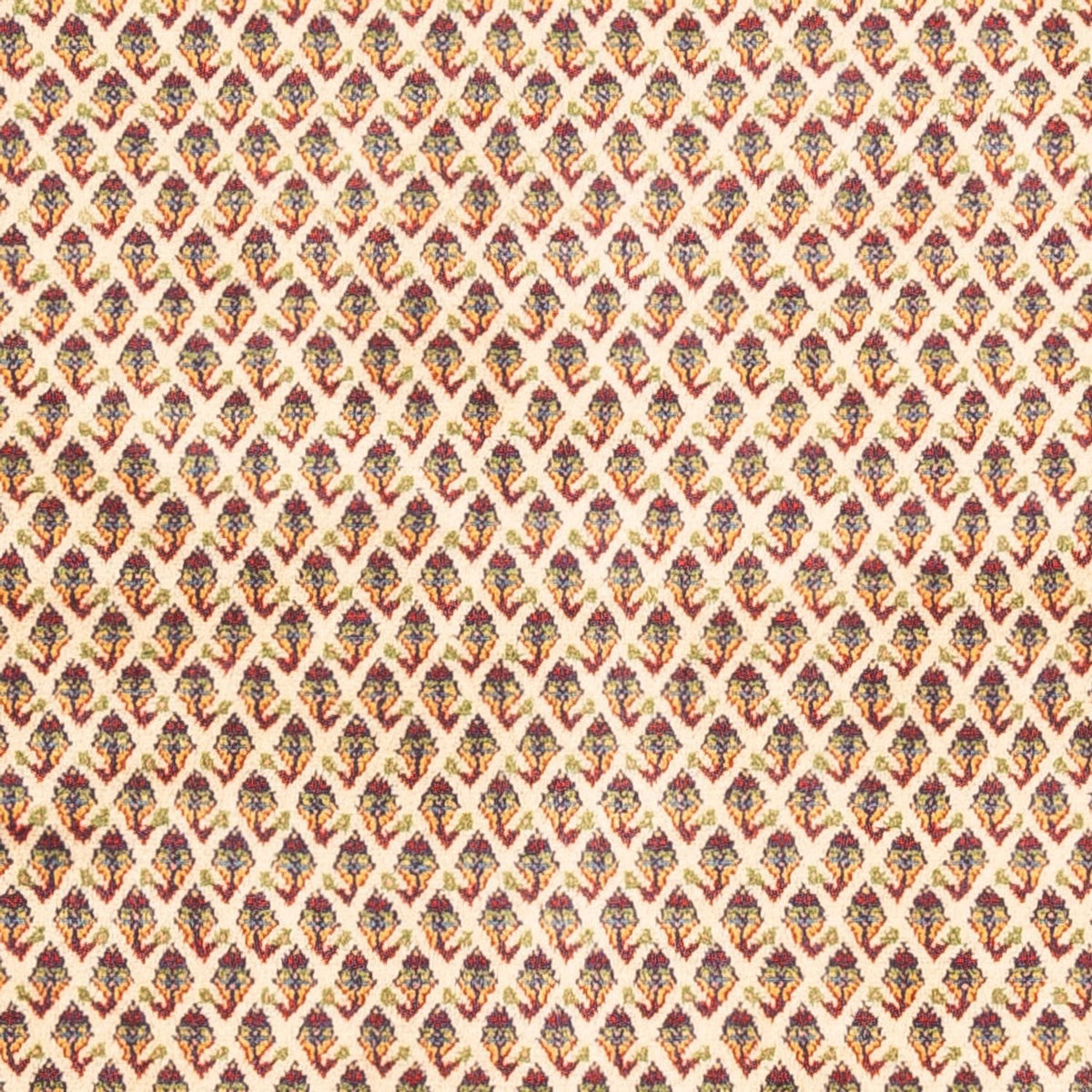 Tapis persan - Mir - 254 x 213 cm - beige clair