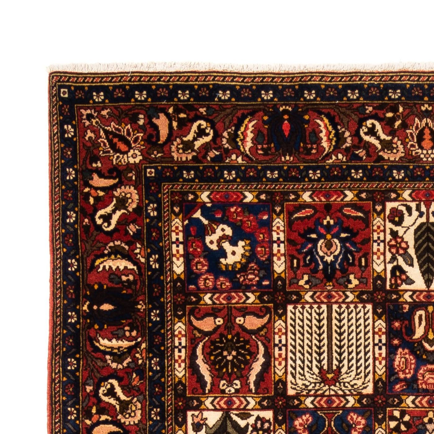 Tapis Bakhtiari Tapis 250x155cm - Tapis persan