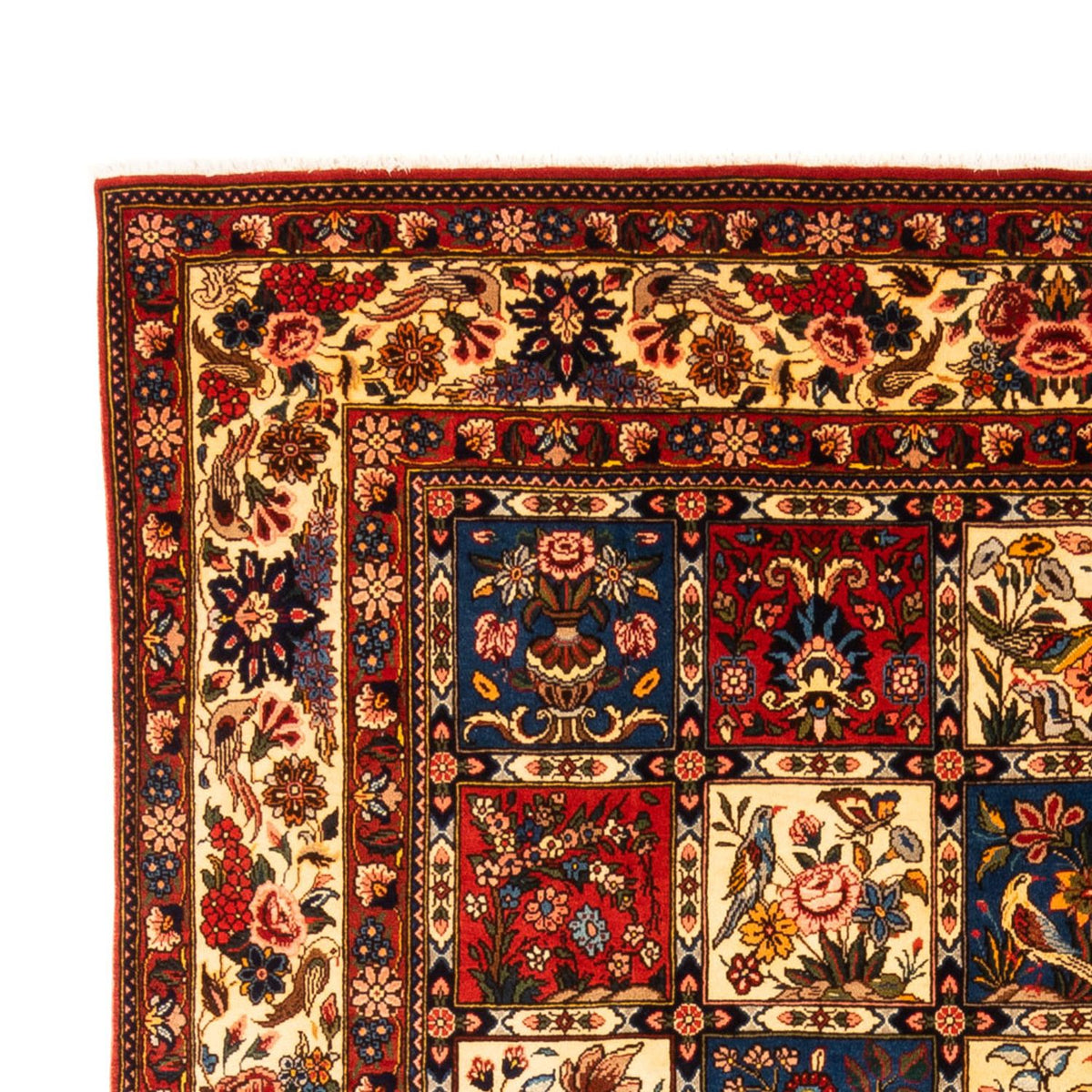 Tapis Bakhtiari Tapis 204x315cm - Tapis persan