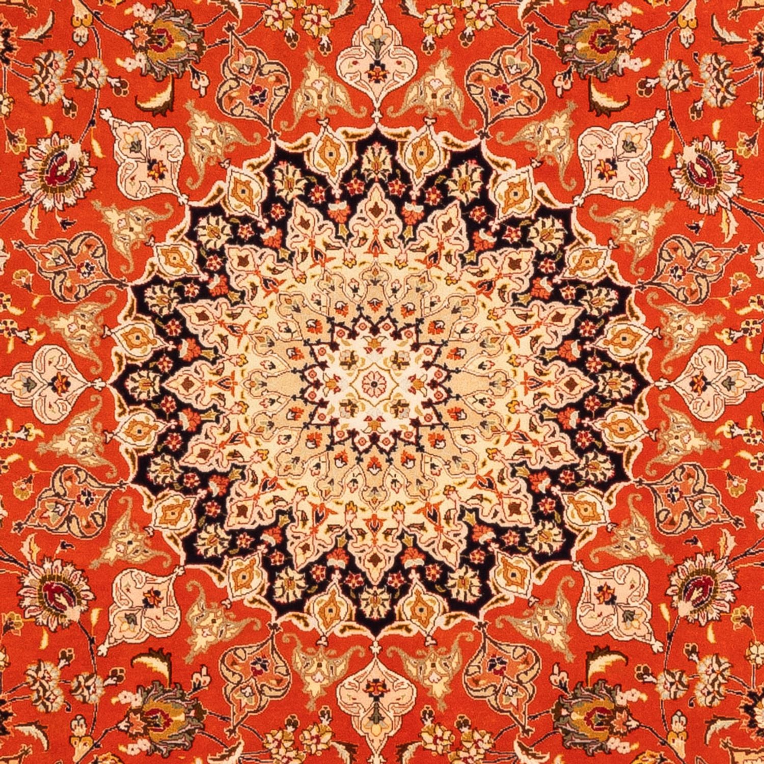 Tapis persan - Tabriz carré  - 253 x 249 cm - orange