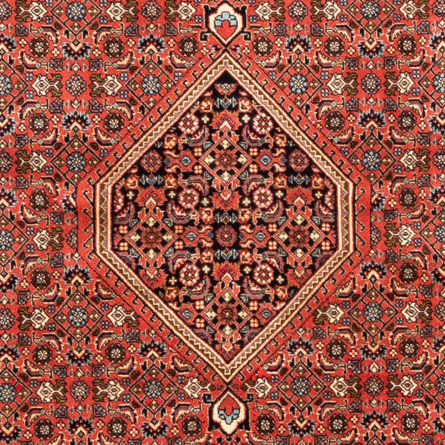 Tapis persan - Bidjar - 233 x 200 cm - rouge clair
