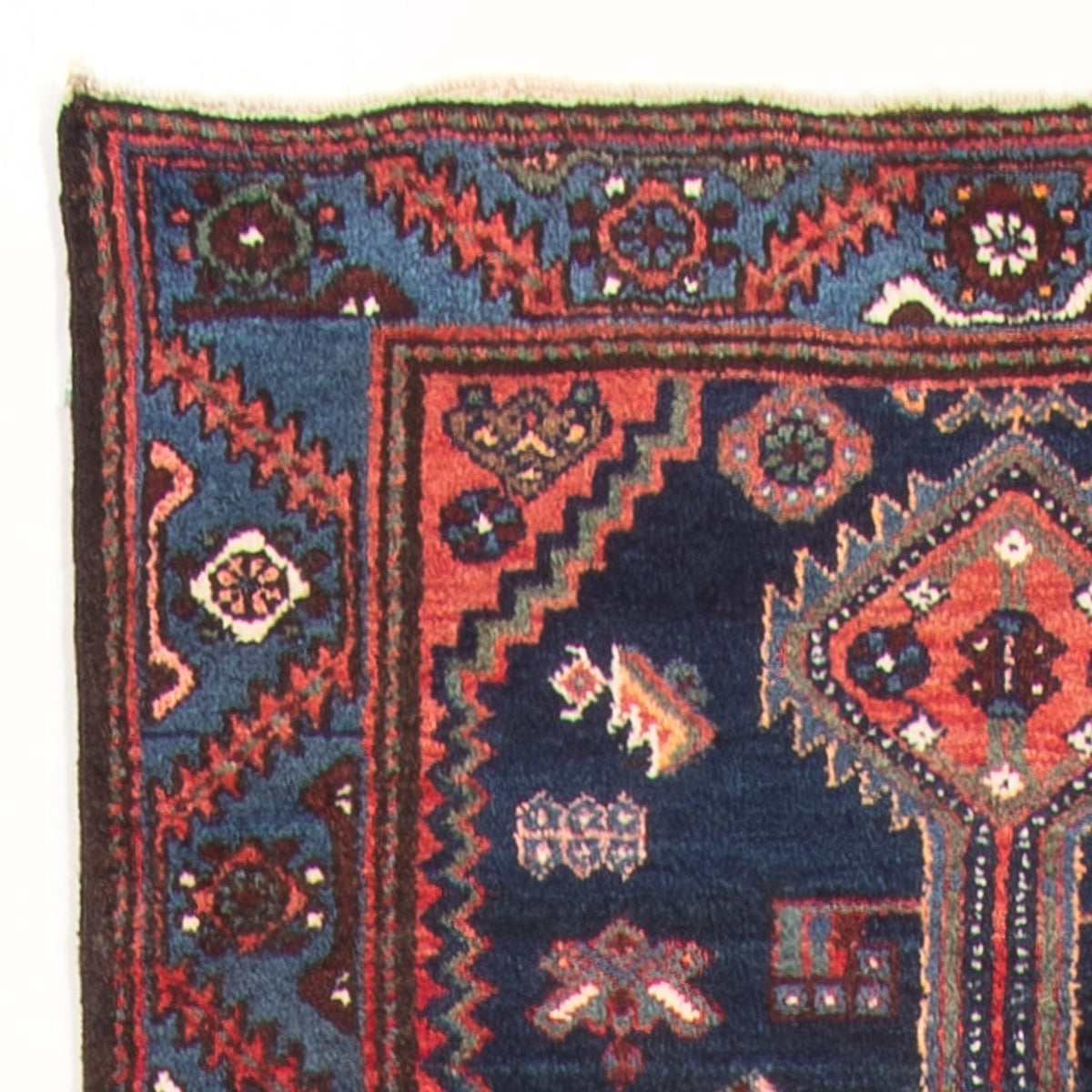 Tapis de couloir Tapis persan - Nomadic - 515 x 105 cm - bleu foncé