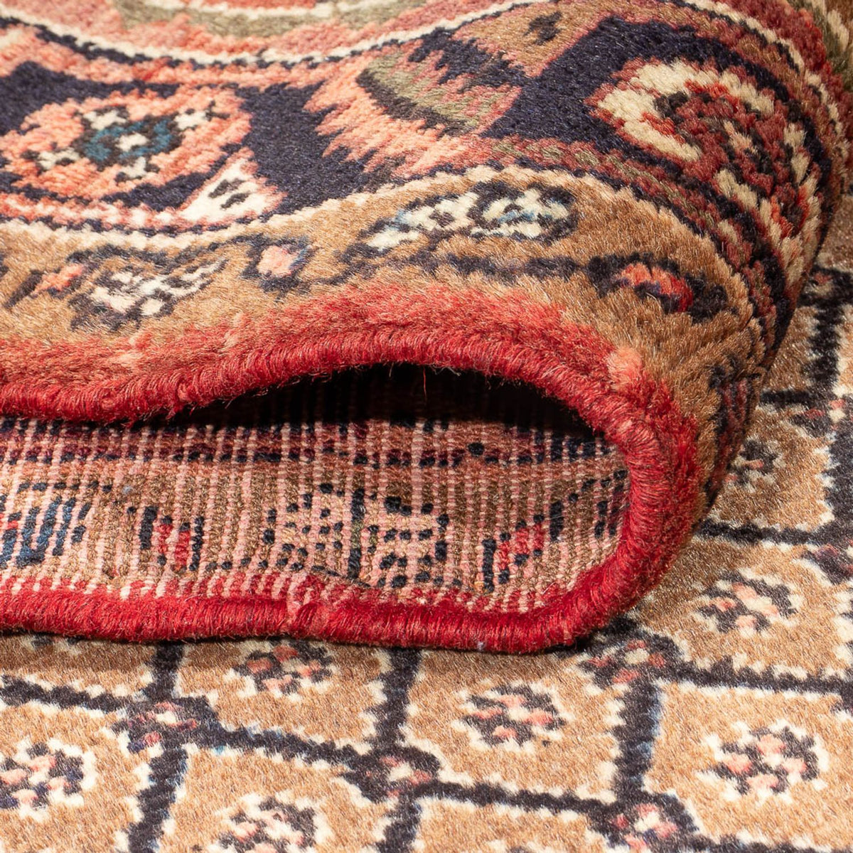 Tapis de couloir Tapis persan - Nomadic - 254 x 99 cm - beige