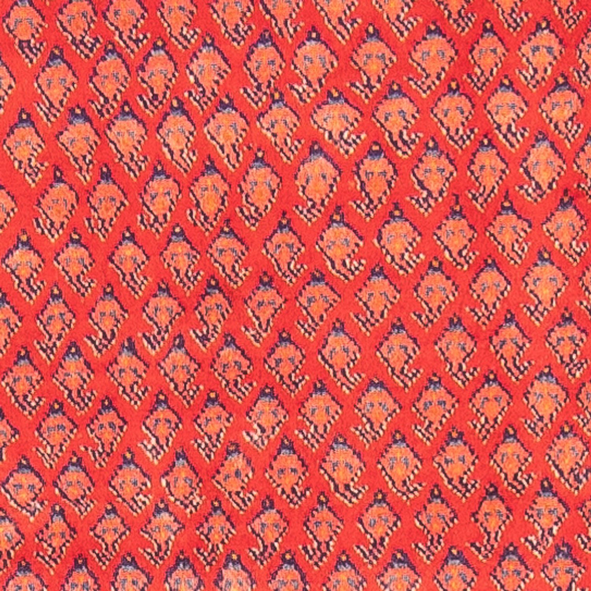 Tapis de couloir Tapis persan - Nomadic - 323 x 108 cm - rouge