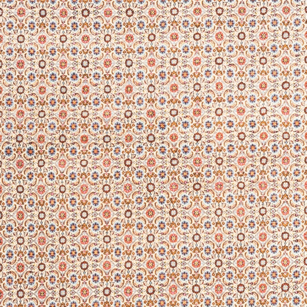 Tapis persan - Classique - 244 x 165 cm - crème