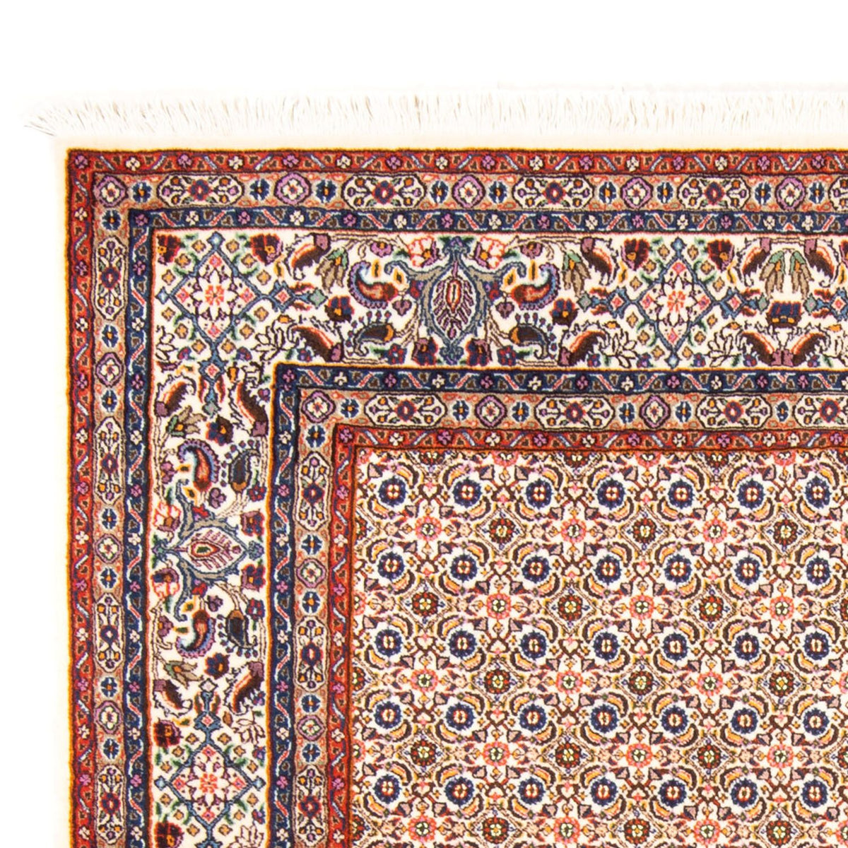 Tapis de Moud Tapis 143x196cm - Tapis persan