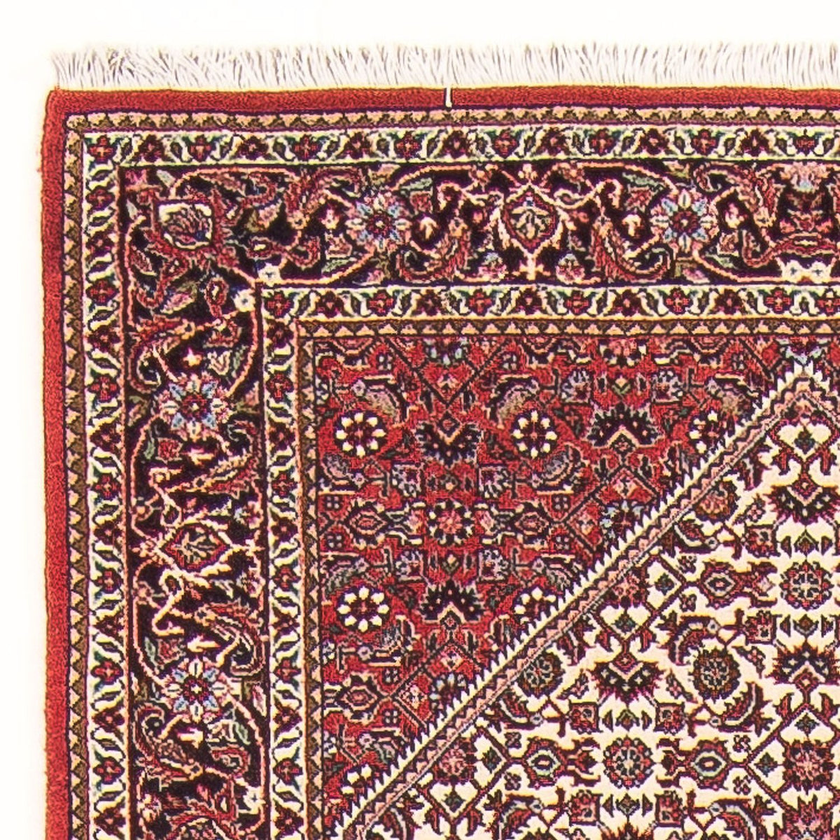 Tapis de couloir Tapis persan - Bidjar - 305 x 90 cm - beige