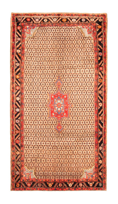 Kolyai Tapis 170x313cm - Tapis persan