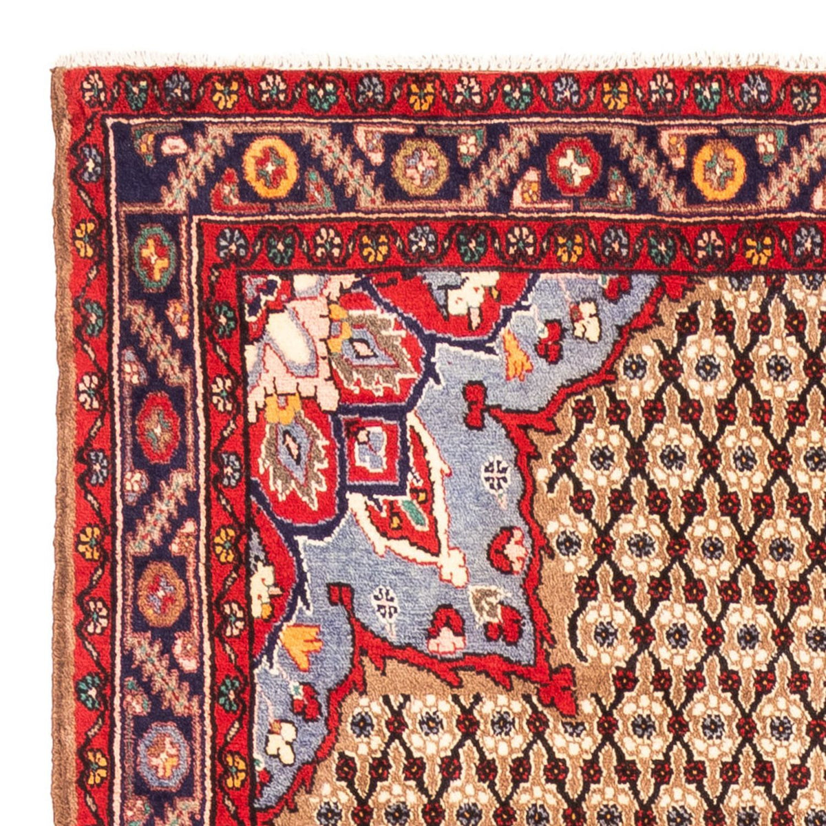 Kolyai Tapis 155x290cm - Tapis persan