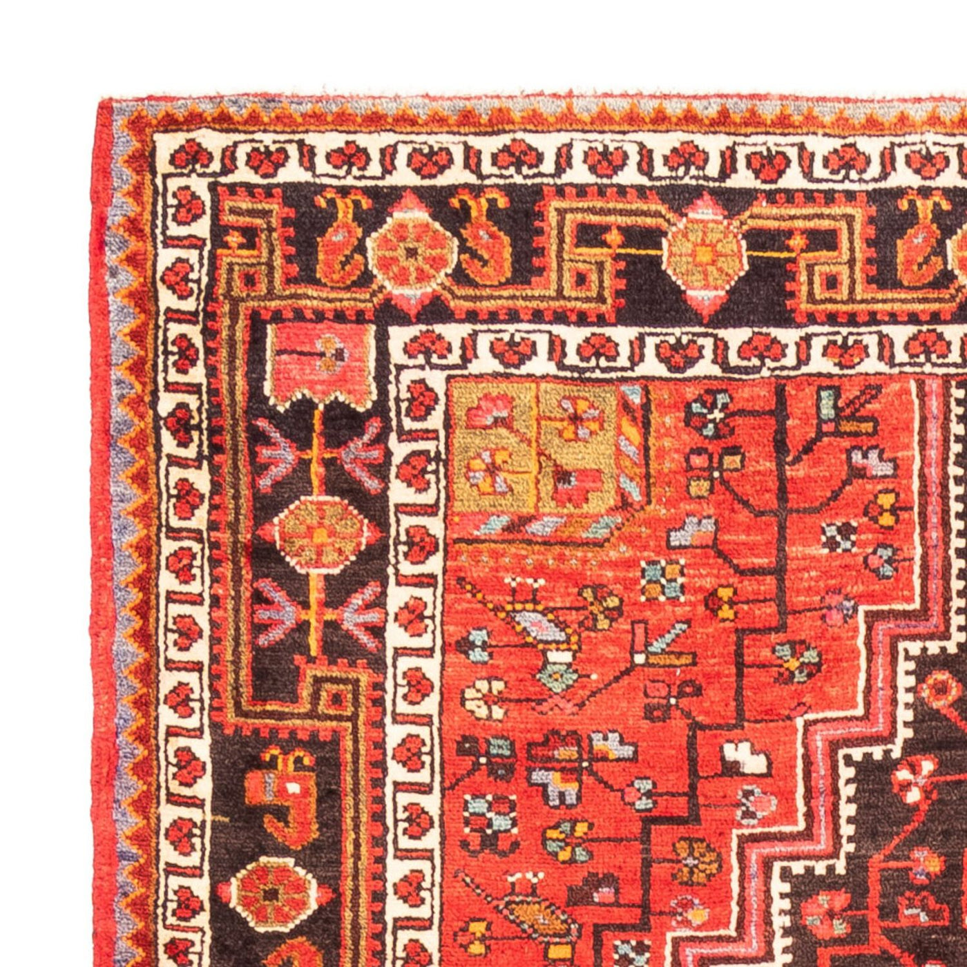 Tapis de Hamadan Tapis 273x154cm - Tapis persan
