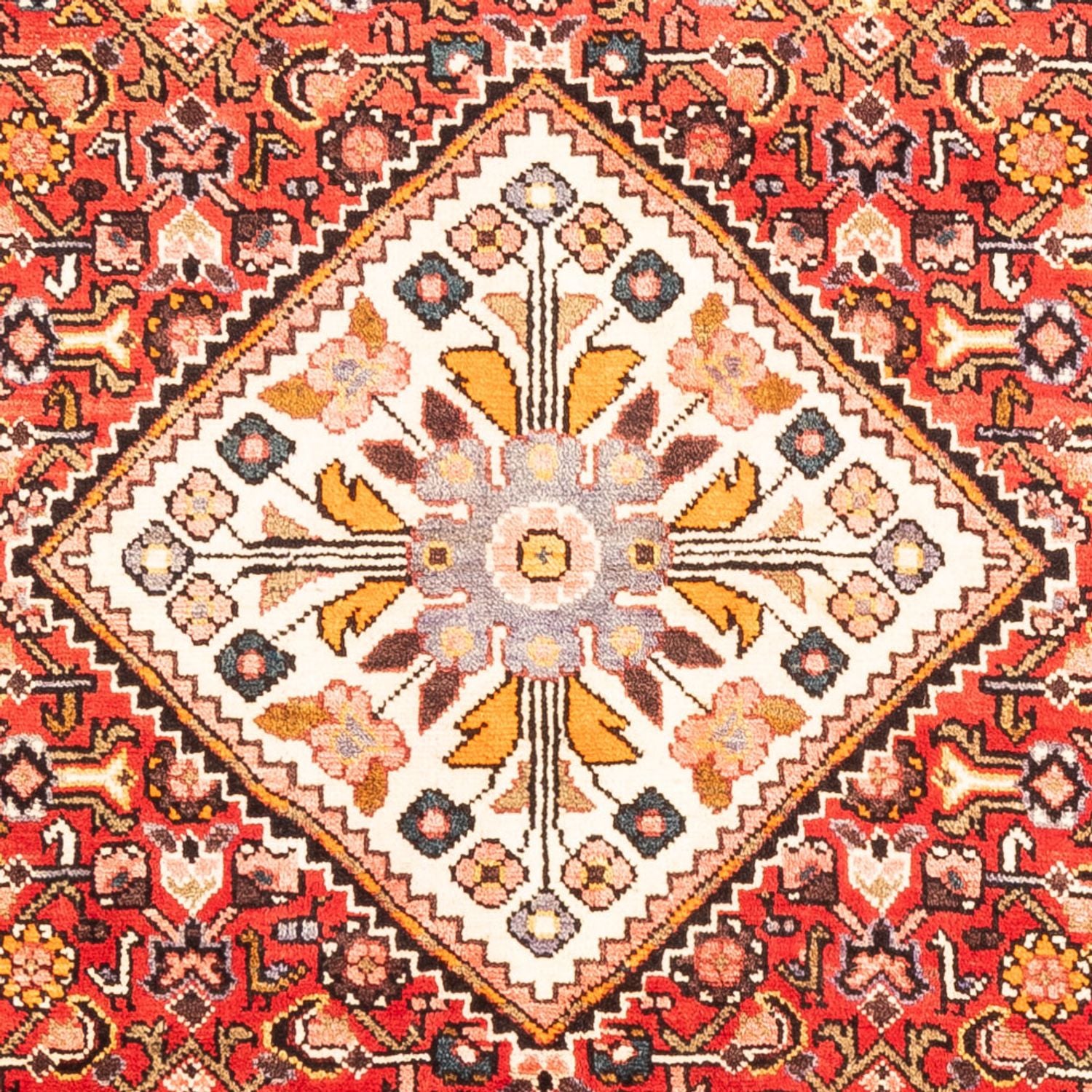 Tapis persan - Nomadic - 315 x 160 cm - rouge