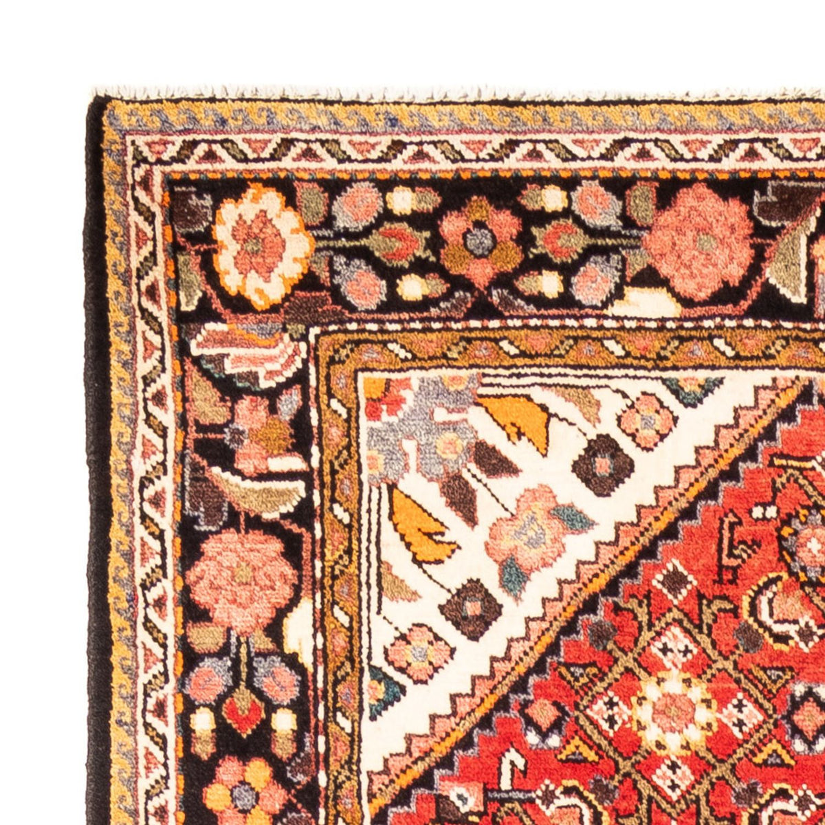Tapis de Hosseinabad Tapis 160x315cm - Tapis persan