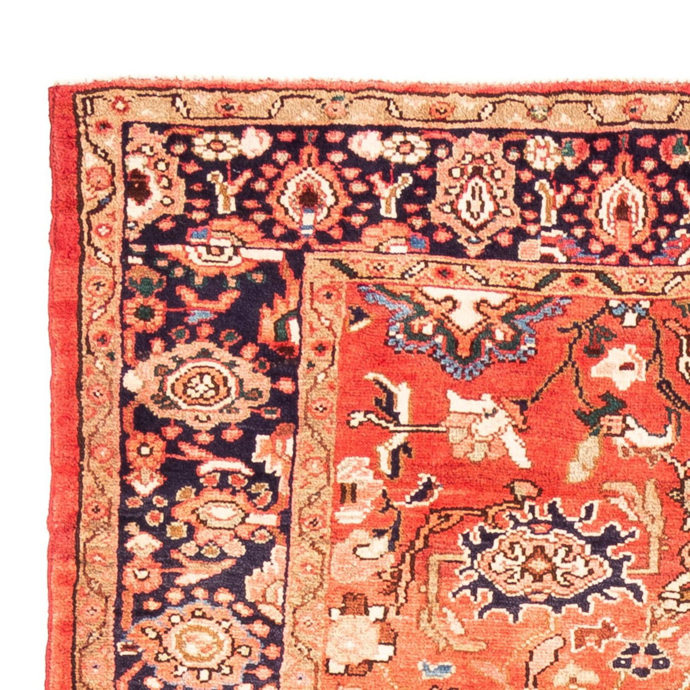 Tapis de Hamadan Tapis 278x150cm - Tapis persan