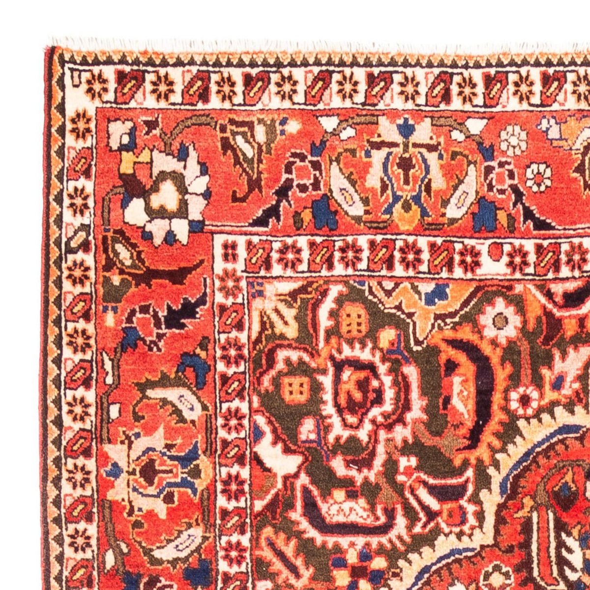 Tapis Bakhtiari Tapis 175x300cm - Tapis persan