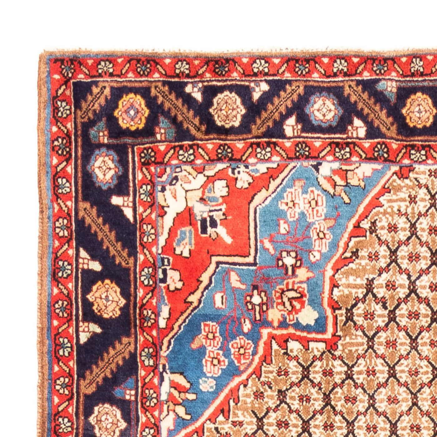 Kolyai Tapis 310x158cm - Tapis persan