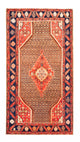 Kolyai Tapis 265x157cm - Tapis persan