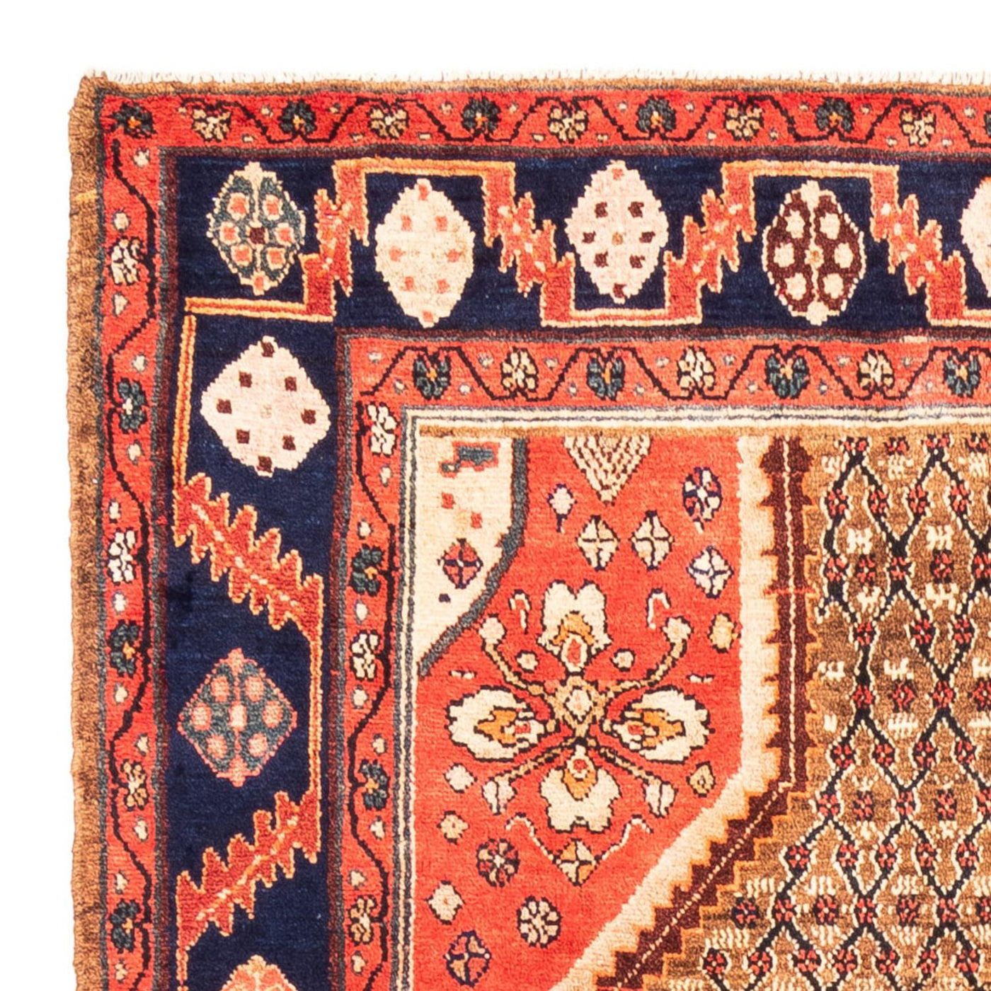 Kolyai Tapis 265x157cm - Tapis persan
