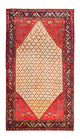 Kolyai Tapis 273x153cm - Tapis persan