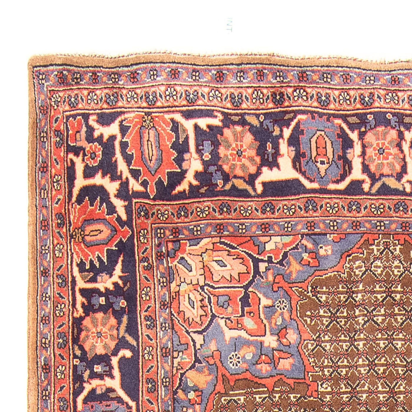 Kolyai Tapis 295x157cm - Tapis persan