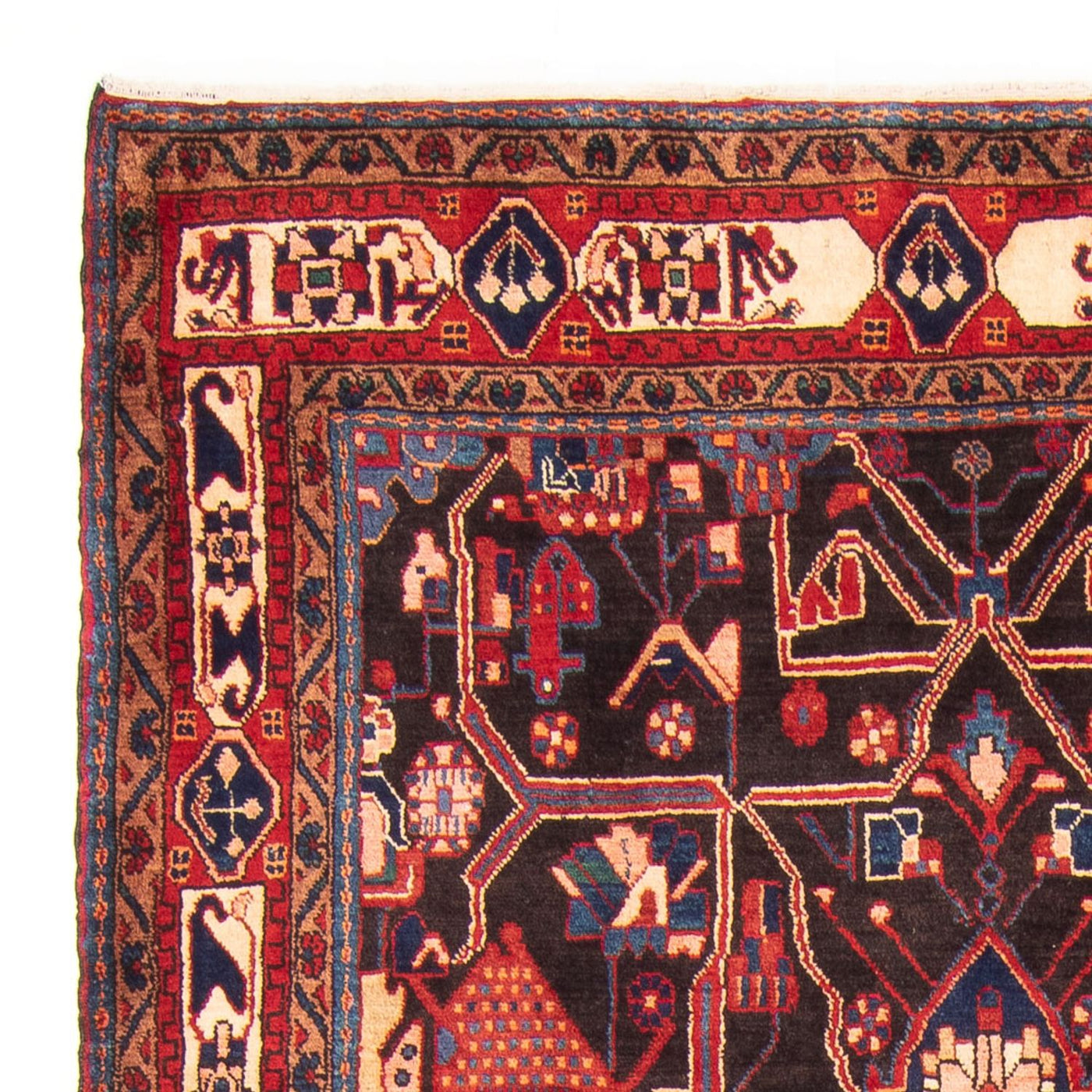 Tapis de Nahavand Tapis 320x163cm - Tapis persan