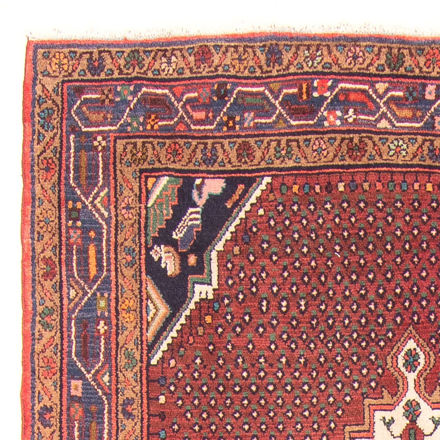 Bidjar - Zanjan Tapis 275x140cm - Tapis persan