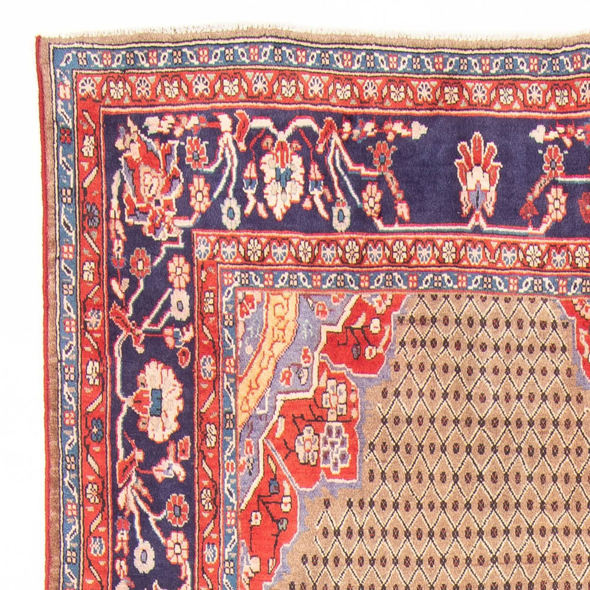 Tapis de couloir Tapis persan - Nomadic - 350 x 150 cm - multicolore