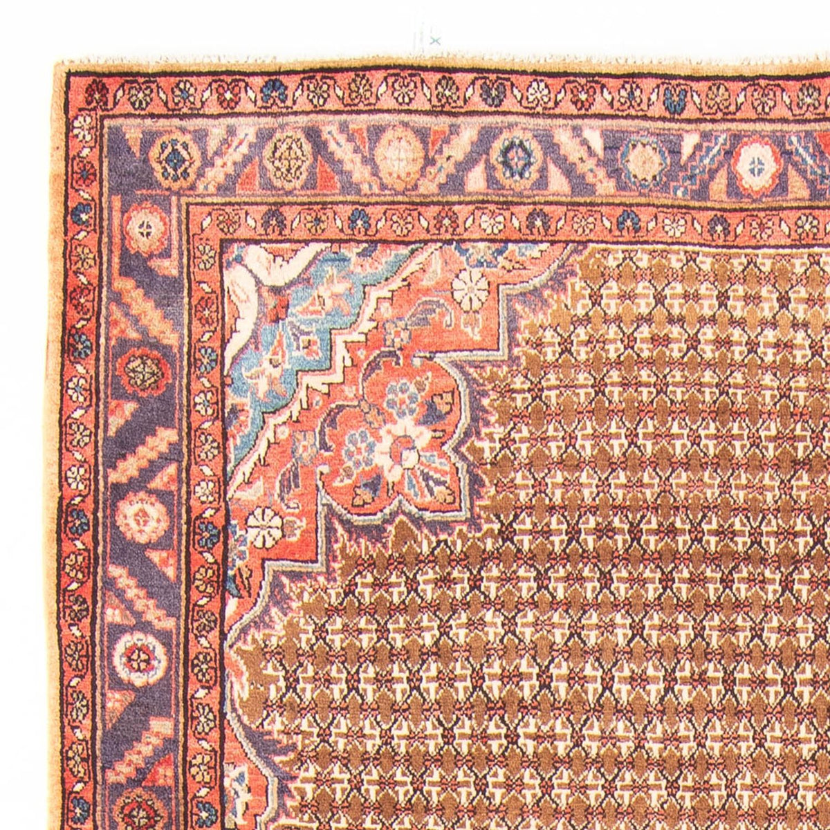 Tapis persan - Nomadic - 310 x 155 cm - multicolore