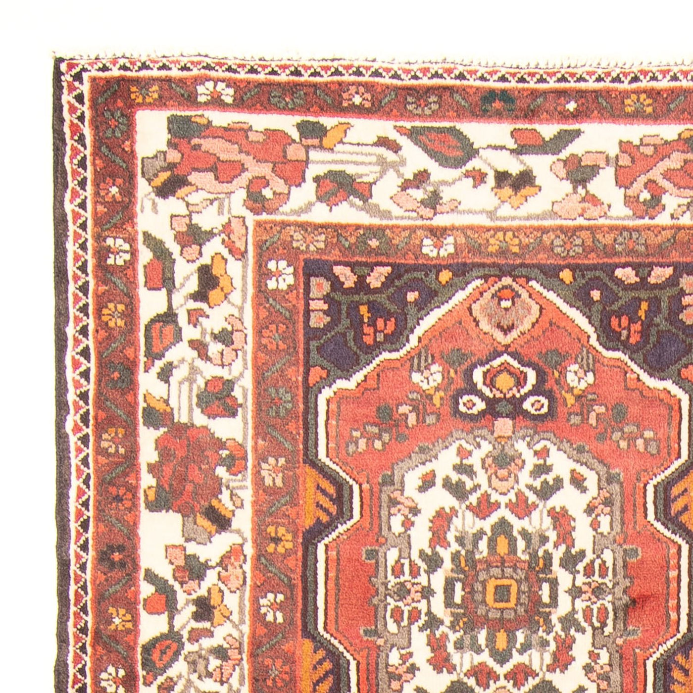 Tapis Bakhtiari Tapis 300x166cm - Tapis persan