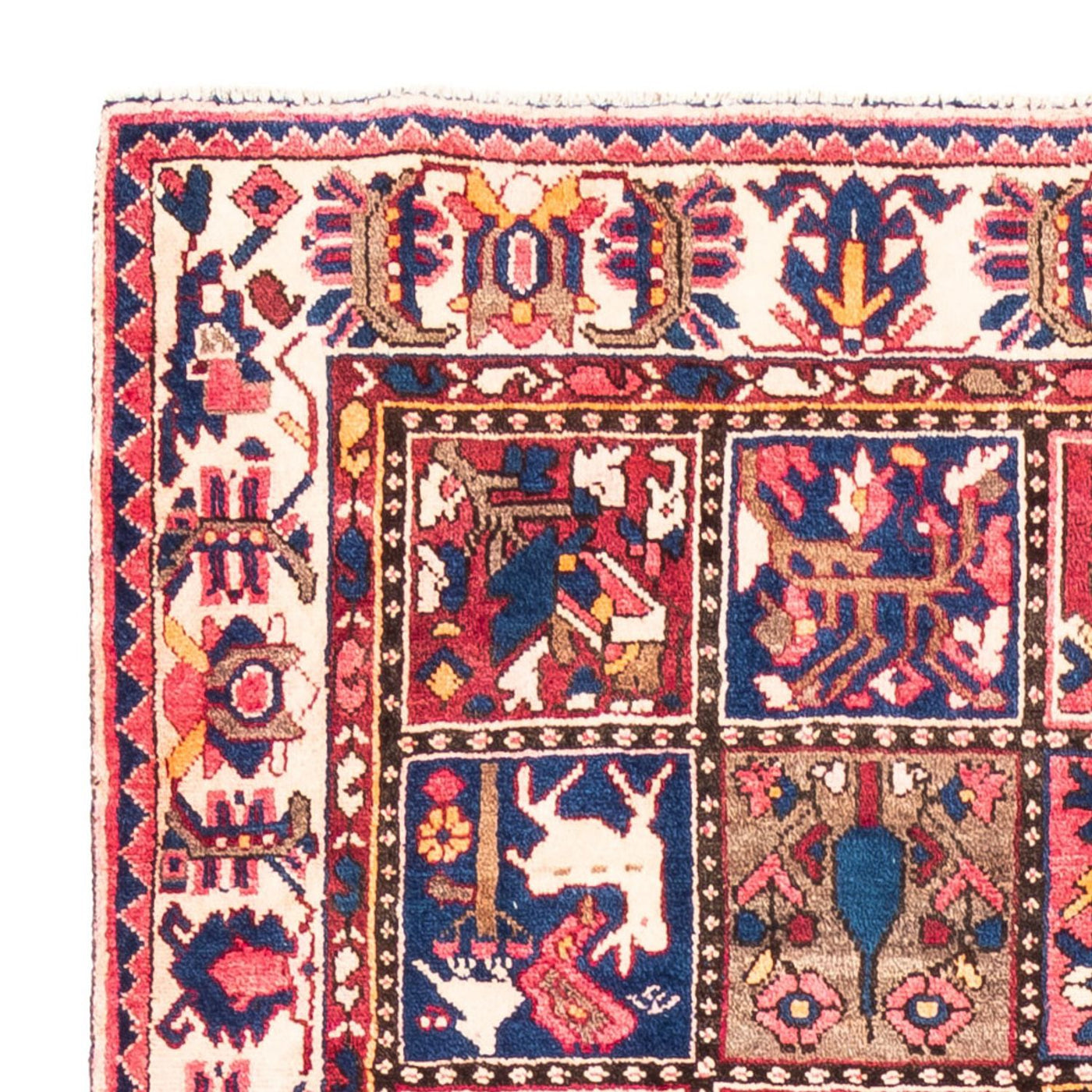 Tapis Bakhtiari Tapis 300x160cm - Tapis persan
