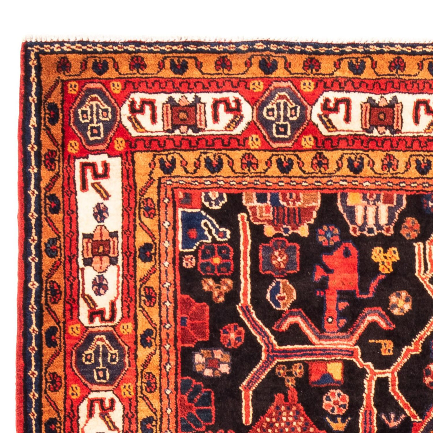 Tapis de Nahavand Tapis 280x172cm - Tapis persan