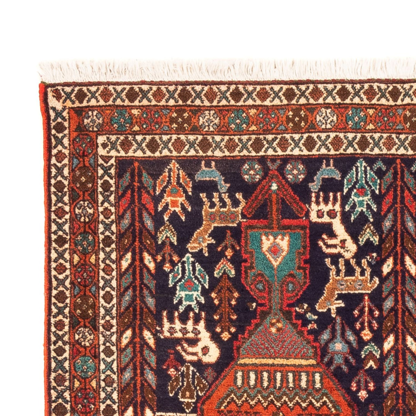Afshar Sirjan Tapis 165x103cm - Tapis persan