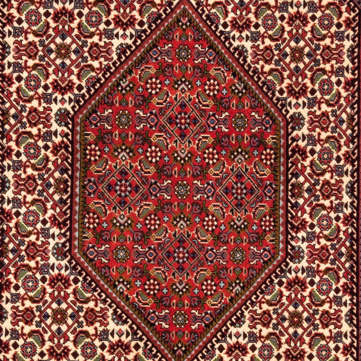 Tapis persan - Bidjar - 180 x 112 cm - crème