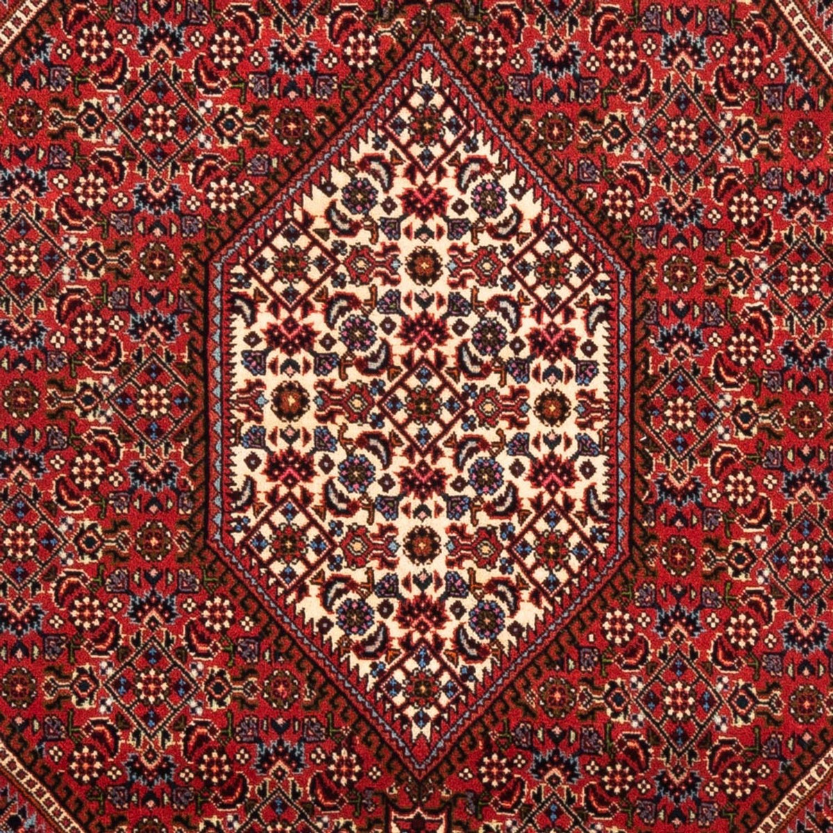 Tapis persan - Bidjar - 175 x 114 cm - rouge
