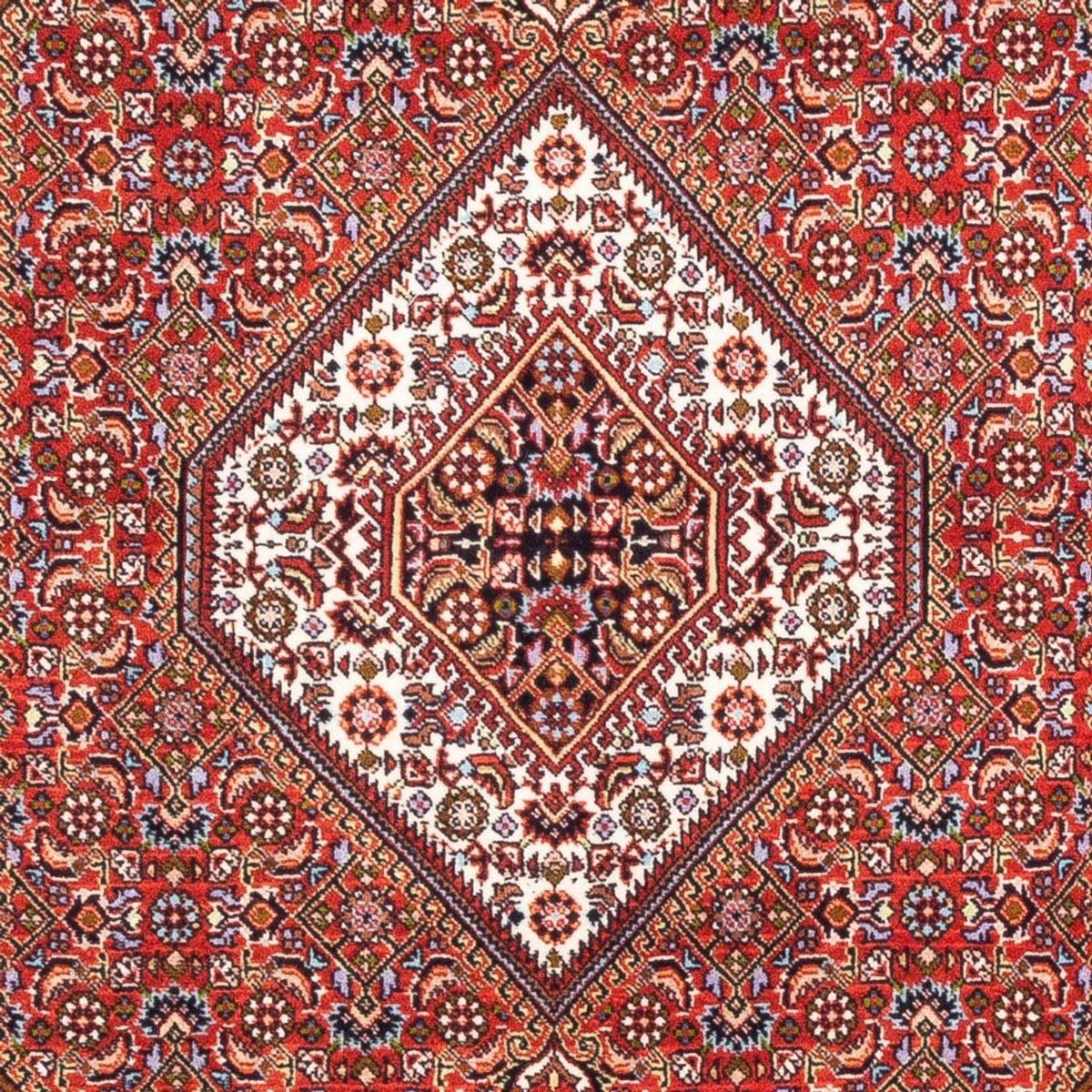 Tapis persan - Bidjar - 176 x 108 cm - rouge