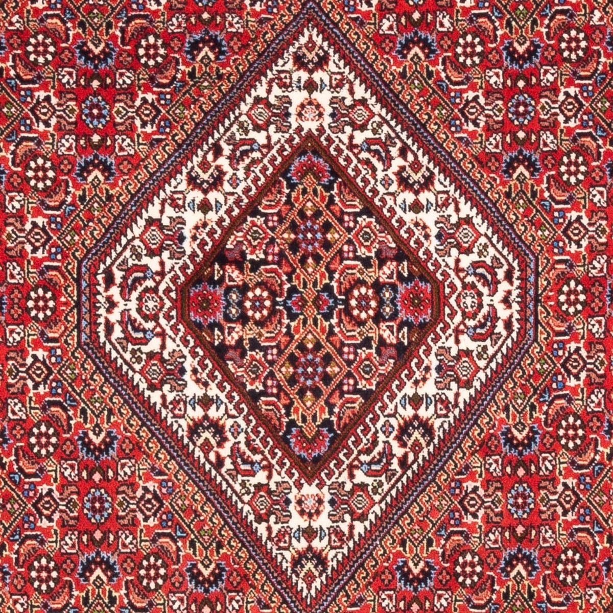 Tapis persan - Bidjar - 180 x 110 cm - rouge