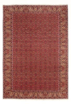 Tapis persan - Bidjar - 296 x 197 cm - rouge