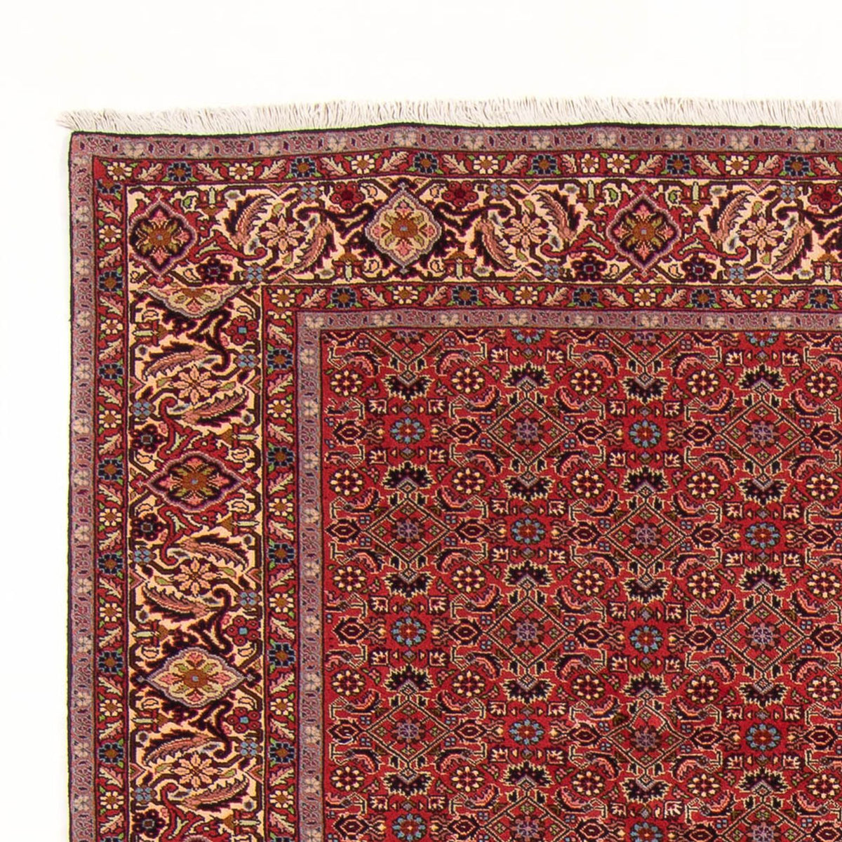 Tapis persan - Bidjar - 296 x 197 cm - rouge