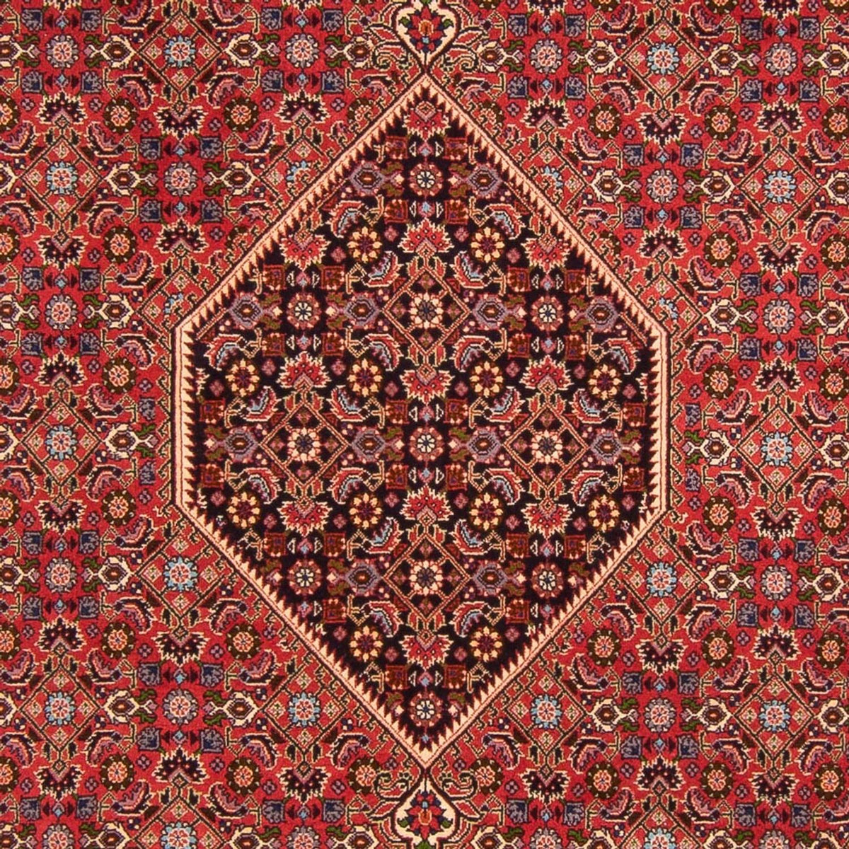 Tapis persan - Bidjar - 300 x 200 cm - rouge