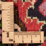 Tapis persan - Bidjar - 300 x 200 cm - rouge