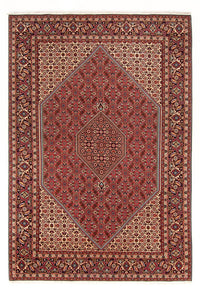 Tapis persan - Bidjar - 293 x 200 cm - rouge