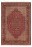 Tapis persan - Bidjar - 293 x 200 cm - rouge