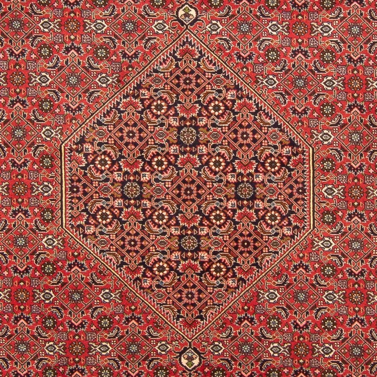 Tapis persan - Bidjar - 298 x 197 cm - rouge